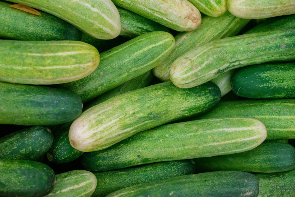 Cucumber