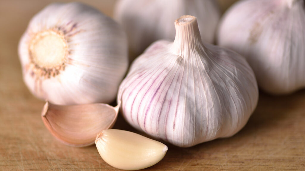 Garlic