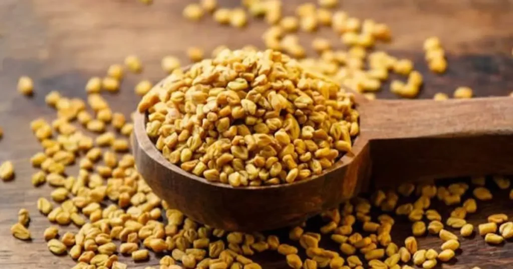Fenugreek